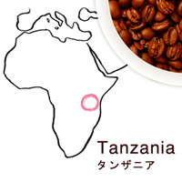 タンザニア　ハイツ農園ブルーリボン区画　フレンチロースト　200g