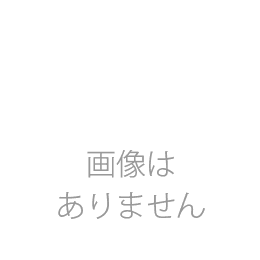 ペルー　ウィルダーガルシア　フレンチロースト　200g
